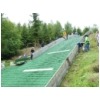 Rueckershausen 06 2012 134.JPG